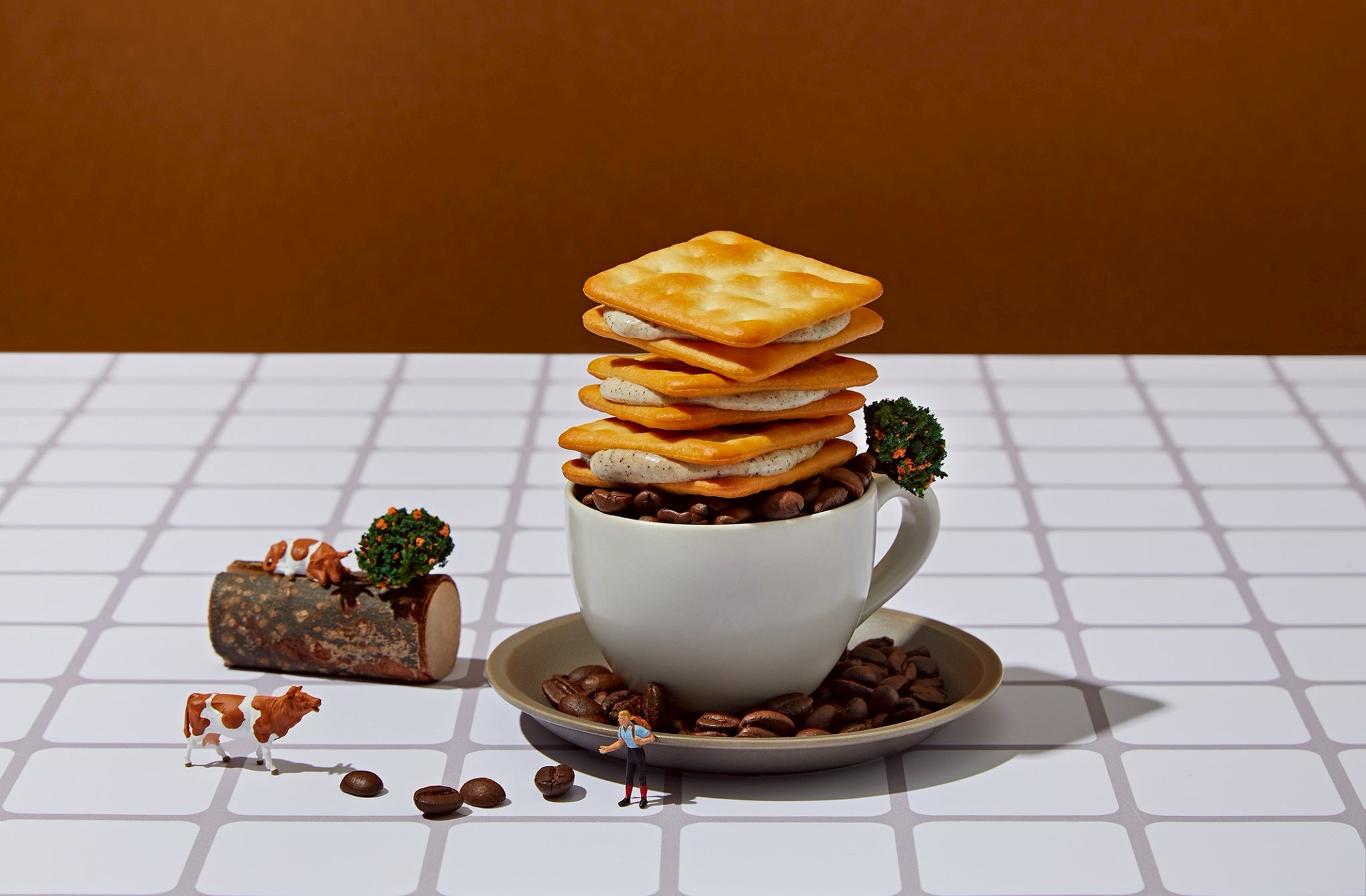 コーヒー党待望のコーヒーヌガークラッカー